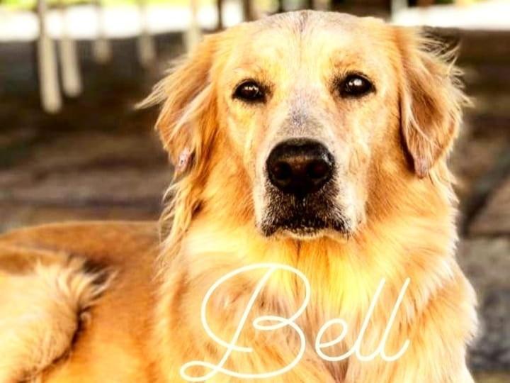 Pousada Da Bell Barreirinhas Bagian luar foto